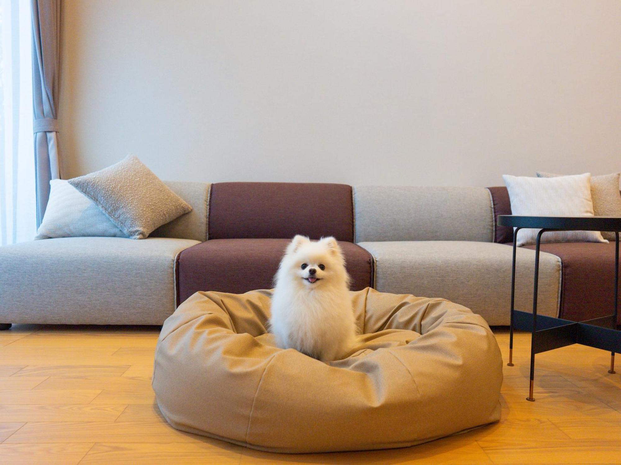 Rakuten Stay Villa Yatsugatake Хокуто Экстерьер фото