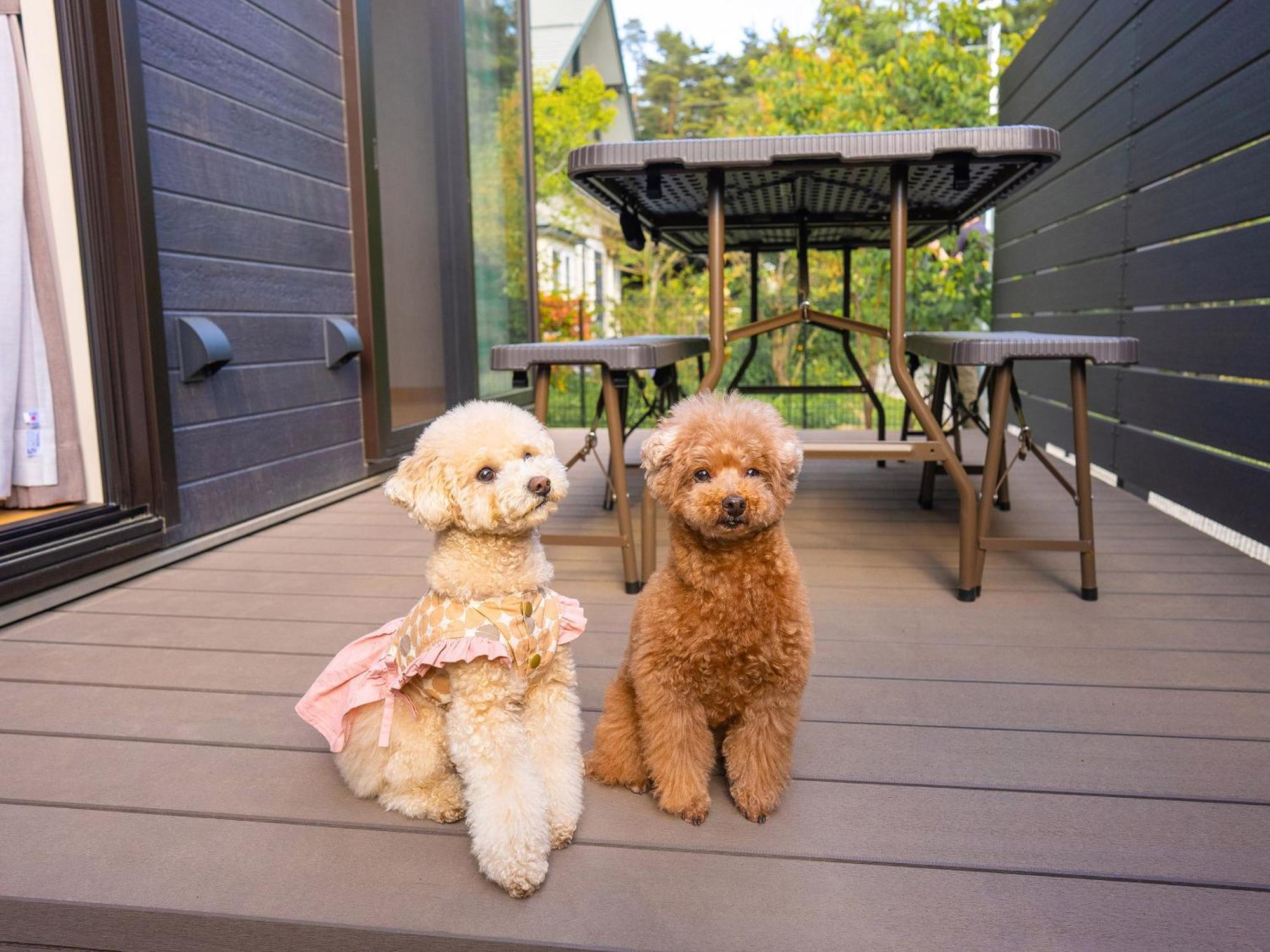 Rakuten Stay Villa Yatsugatake Хокуто Экстерьер фото